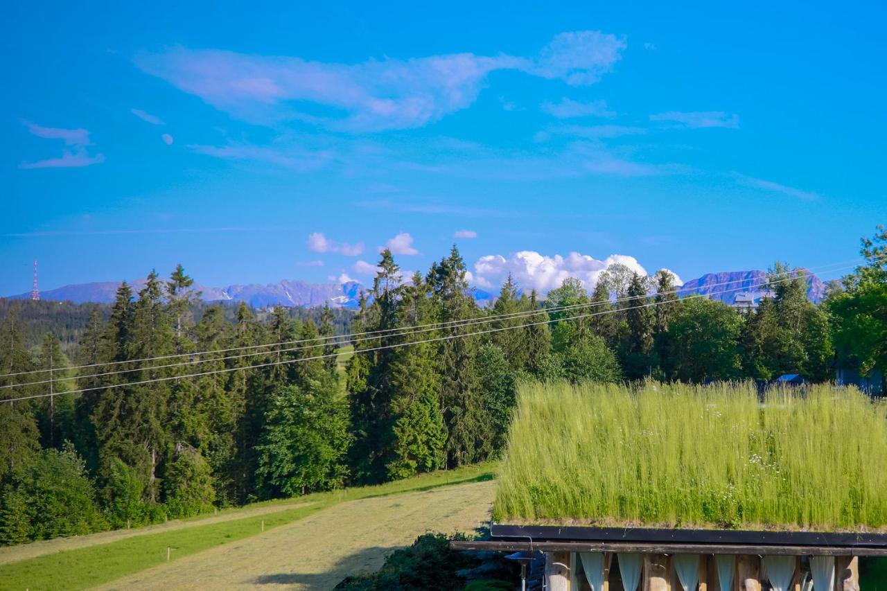 Villa Alpejska Szarotka Nowe Bystre Exterior foto